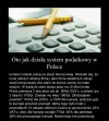 Tak działa system podatkowy w Polsce