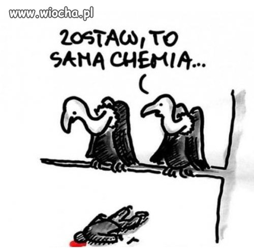 Zostaw, sama chemia