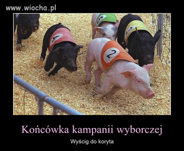 Nic dodać, nic ująć