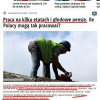 Złoty okres POLSKI! 