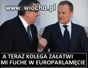 PO WYBORACH