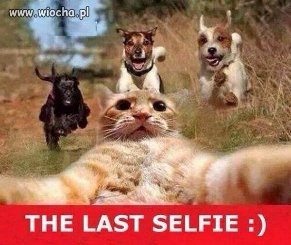 Ostatnie Selfie