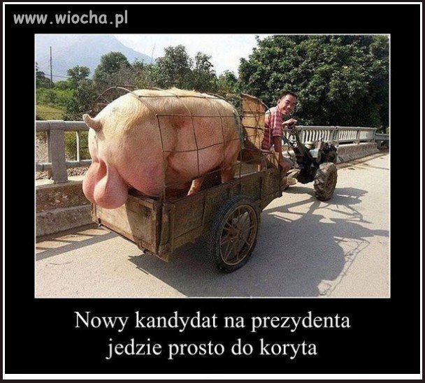 Nowy kandydat na prezydenta