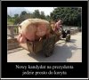Nowy kandydat na prezydenta