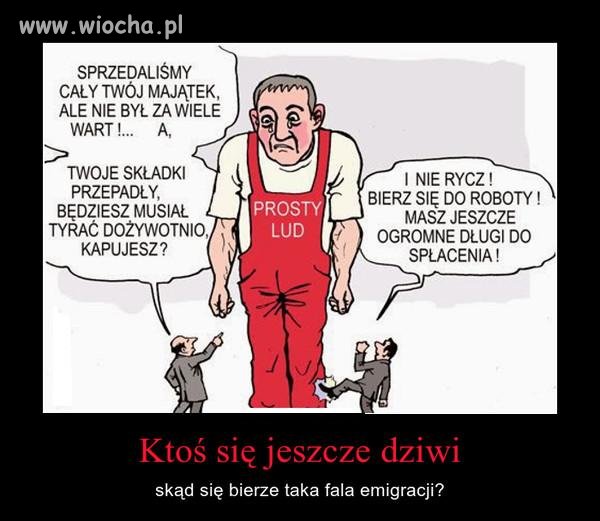Tak. Platforma się dziwi.