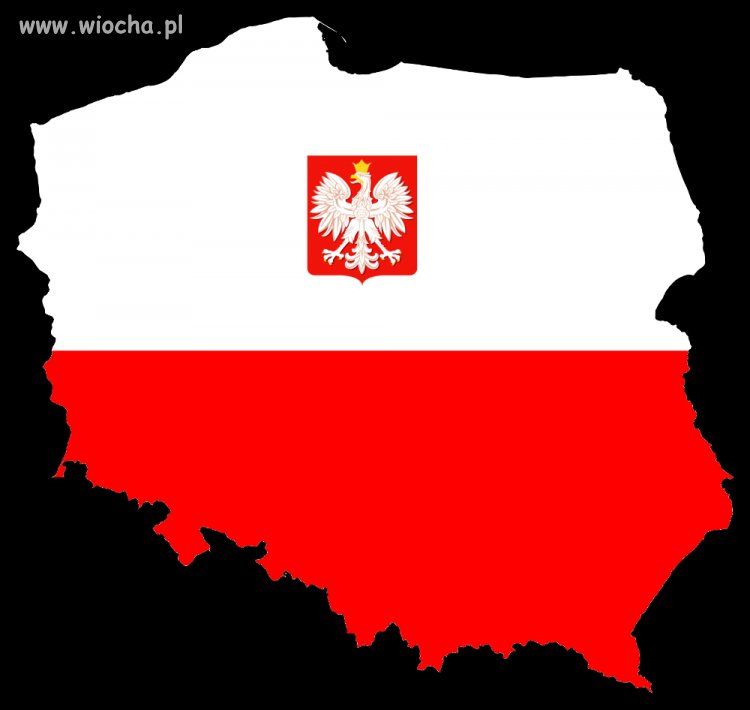 Polaku idź na wybory, nie bądź polaczkiem.