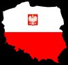 Polaku idź na wybory, nie bądź polaczkiem.
