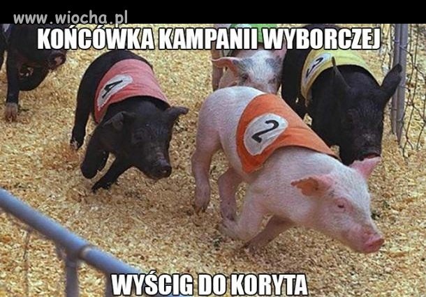 Końcówka kampanii