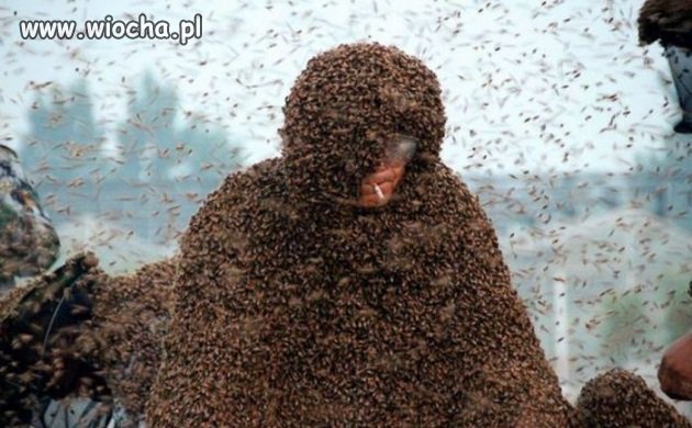 Przerwa na fajeczkę