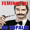 Feministki