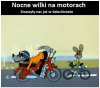 Nocne wilki 