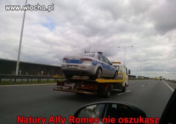 Nie ma co walczyć z naturą