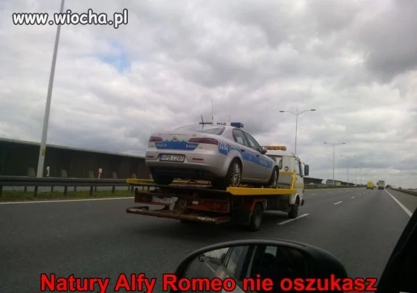 Nie ma co walczyć z naturą