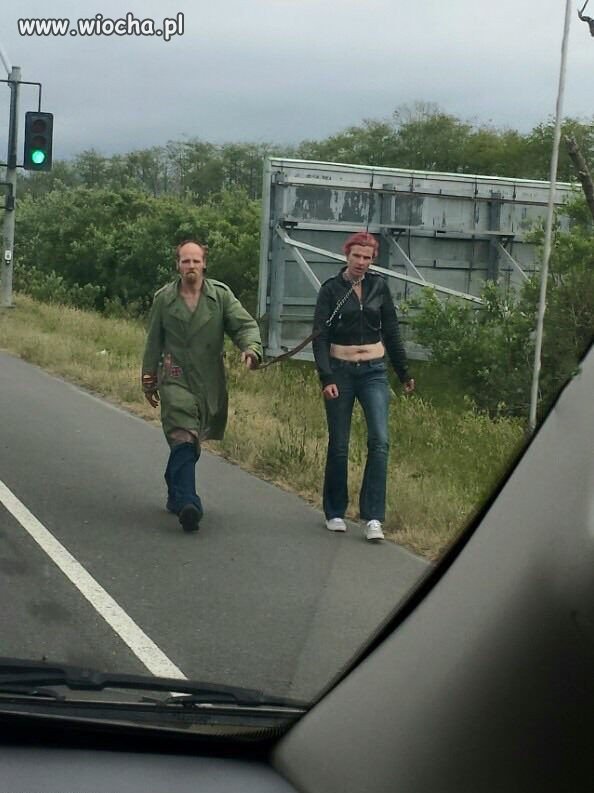 Wyglądają na