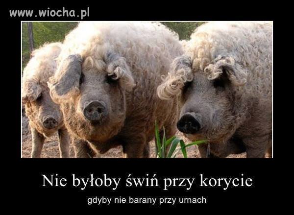 Co prawda to prawda...