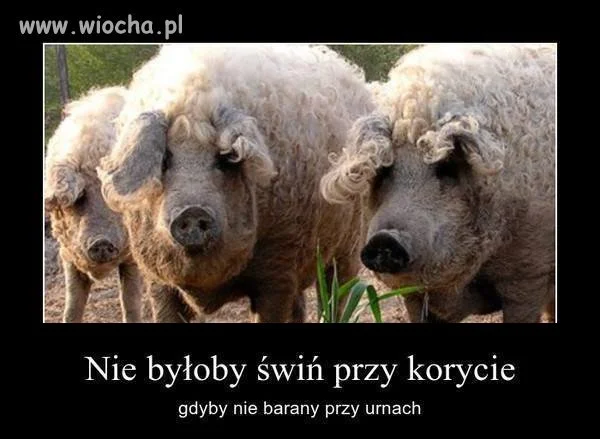 Co prawda to prawda...