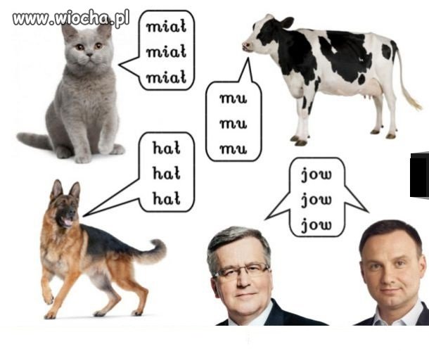 Tak teraz będą 