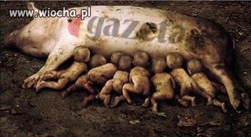 Wyborcza 