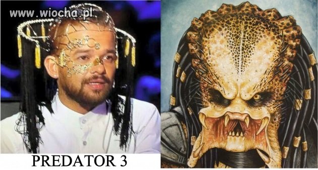 PIRÓG vs PREDATOR
