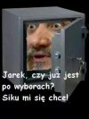 Polscy politycy ...