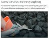 Rząd powinien koniecznie podwyższyć akcyzę