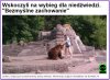 Ludzie nie przestają