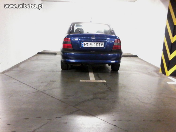 Ostrowiak, brak słów na takie zachowanie