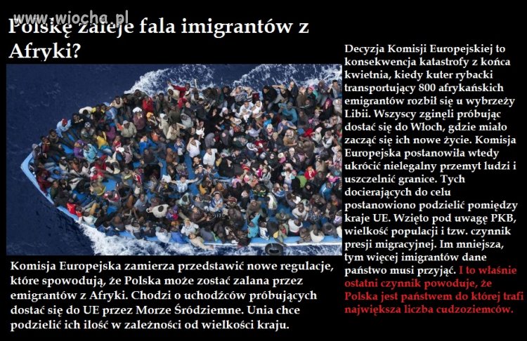 Największa liczba imigrantów trafi do nas  