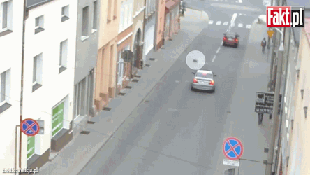 Burak z BMW chciał rozjechać kota