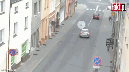 Burak z BMW chciał rozjechać kota