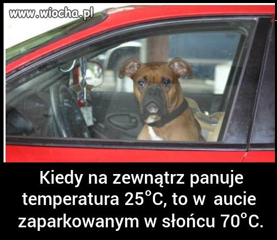 Jeżeli wiązanie psa na łańcuchu to wiocha