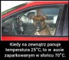 Jeżeli wiązanie psa na łańcuchu to wiocha