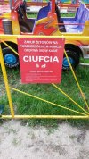 Ciufcia