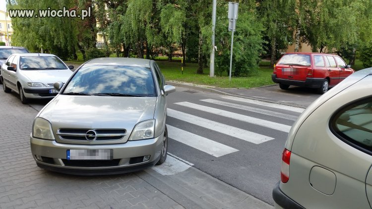 Zlot mistrzów parkowania