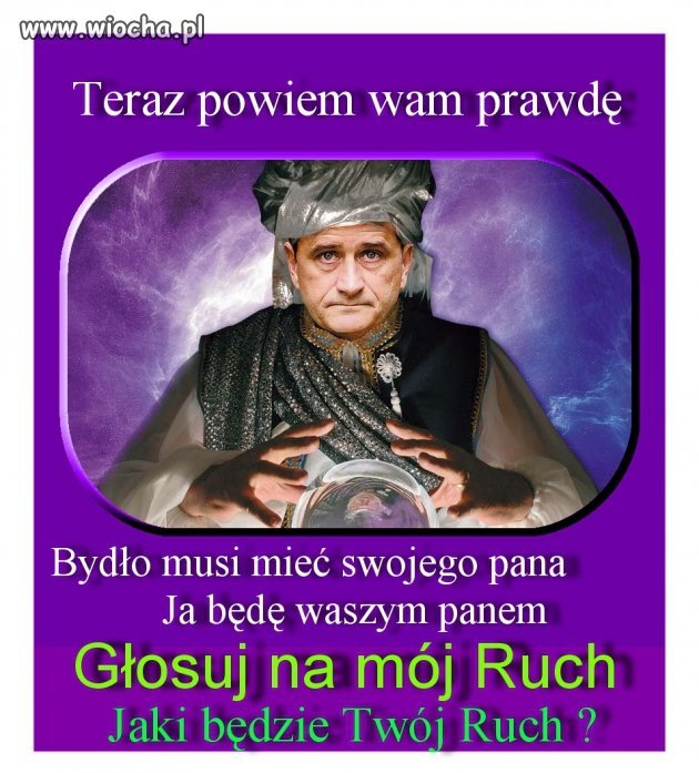 Wróżka: palikot