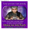 Wróżka: palikot