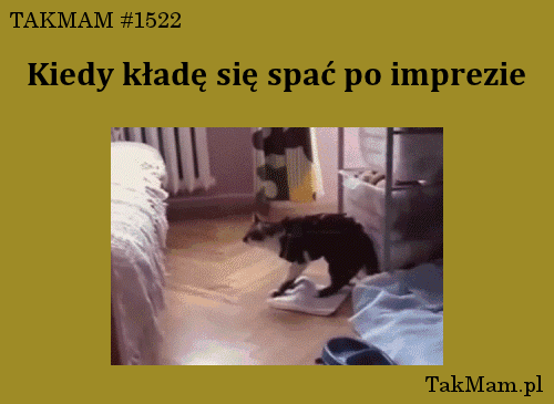 Wtf co jest 