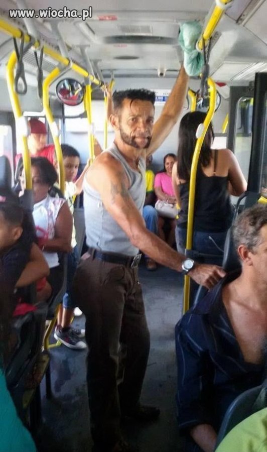 Wolverine w autobusie