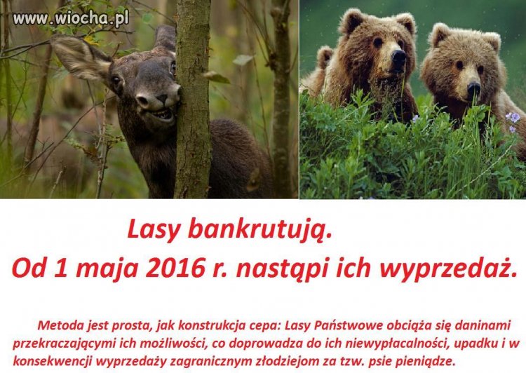 Lasy  Państwowe