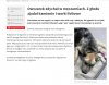 Zagłodził psa