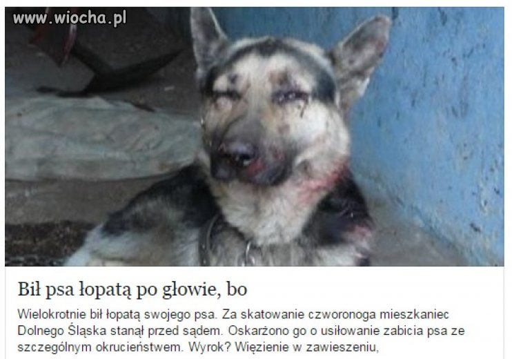 Wyrok w zawieszeniu... 