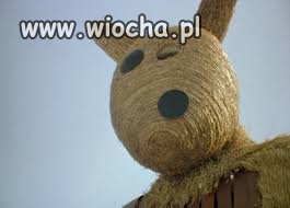 Czasem aż oczy bolą patrzeć, jak się przemęcza...