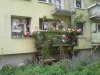 Ołtarzyk a może sztab wyborczy ??? Poznań