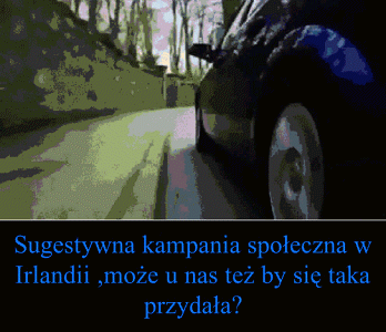 Niektórym dałaby do myślenia 