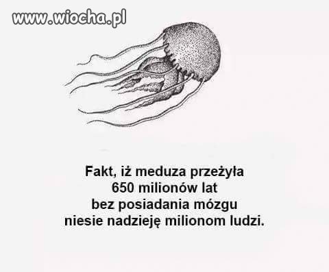 Jest nadzieja!