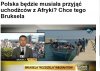 Ponad 2000 emigrantów ma trafić do Polski