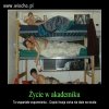 Życie w akademiku