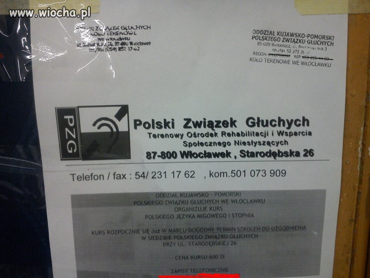 Polski Związek Głuchych zapisy telefoniczne 