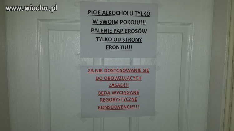 Studia