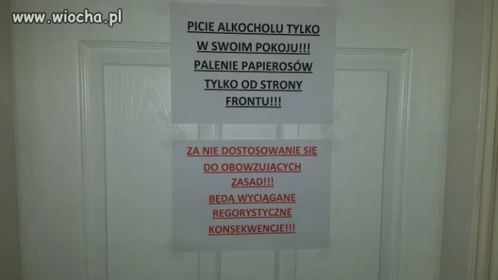 Studia